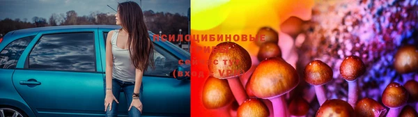 амф Балахна
