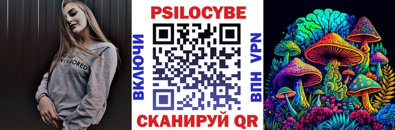 Псилоцибиновые грибы Psilocybe  Купить закладки  Топки 